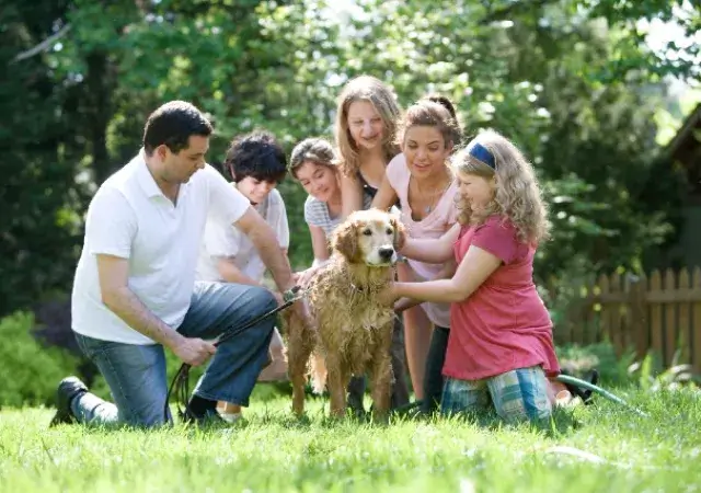 明るい庭で犬を可愛がる家族